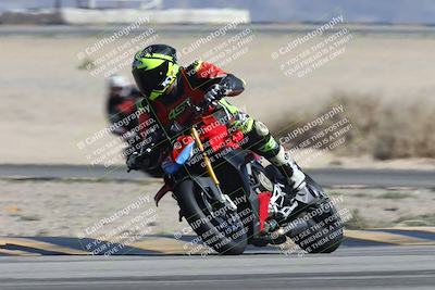 media/Oct-13-2025-Moto Forza (Mon) [[a66d839500]]/3-B Group/Session 4 Turn 4 Tree of Life/